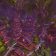 Illustration for article titled Eagle Eye: When a useless Hunter ability becomes a lense into Azeroth
